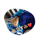 タローくん❤️（1）（個別スタンプ：2）