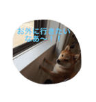 タローくん❤️（1）（個別スタンプ：6）