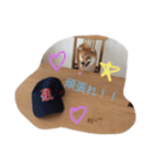 タローくん❤️（1）（個別スタンプ：12）