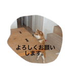 タローくん❤️（1）（個別スタンプ：17）