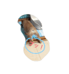 タローくん❤️（1）（個別スタンプ：23）