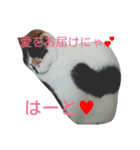 鼻黒美人♡猫山神楽（個別スタンプ：1）