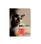 鼻黒美人♡猫山神楽（個別スタンプ：3）