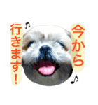 ひめスタンプ②..（個別スタンプ：2）