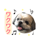 ひめスタンプ②..（個別スタンプ：6）