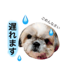 ひめスタンプ②..（個別スタンプ：7）