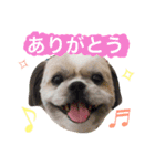 ひめスタンプ②..（個別スタンプ：8）