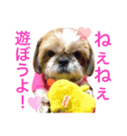 ひめスタンプ②..（個別スタンプ：9）