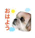 ひめスタンプ②..（個別スタンプ：10）