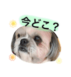ひめスタンプ②..（個別スタンプ：13）