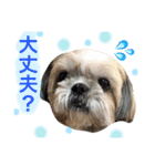 ひめスタンプ②..（個別スタンプ：14）
