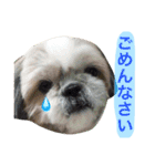 ひめスタンプ②..（個別スタンプ：16）