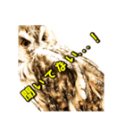 トラフライフ シーズン1（個別スタンプ：9）