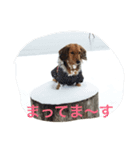 ！ dog！（個別スタンプ：1）