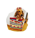 ！ dog！（個別スタンプ：5）