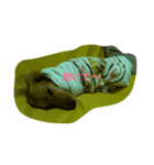 ！ dog！（個別スタンプ：7）
