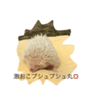 森のはりねずみハリーお散歩ウォーキング♪（個別スタンプ：6）