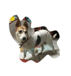 Dog Niuniu's everyday（個別スタンプ：5）
