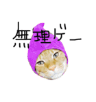 ちー・茶トラ猫スタンプ（個別スタンプ：3）