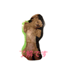 小春と手鞠（個別スタンプ：3）