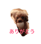 小春と手鞠（個別スタンプ：4）