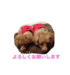小春と手鞠（個別スタンプ：5）