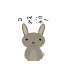 courage planet's rabbit（個別スタンプ：1）