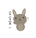 courage planet's rabbit（個別スタンプ：6）