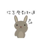 courage planet's rabbit（個別スタンプ：8）