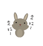 courage planet's rabbit（個別スタンプ：12）