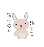 courage planet's rabbit（個別スタンプ：17）