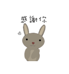 courage planet's rabbit（個別スタンプ：20）