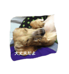 何となく（個別スタンプ：1）