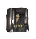 何となく（個別スタンプ：3）