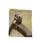 何となく（個別スタンプ：4）