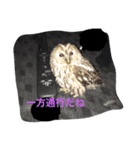 何となく（個別スタンプ：8）