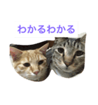 タラとイクラのぐーたらスタンプ（個別スタンプ：4）