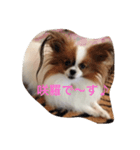 咲羅 ＆ MOCAH（個別スタンプ：2）
