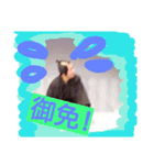 時代劇マッキィー（個別スタンプ：5）