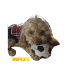 飼い猫飼い犬の日常編（個別スタンプ：3）
