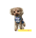 飼い猫飼い犬の日常編（個別スタンプ：8）
