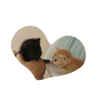 みんな、お友達（個別スタンプ：3）