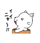 箱ねこくん（個別スタンプ：4）