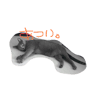 ペットのニコルくん（個別スタンプ：6）