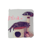 ペットのニコルくん（個別スタンプ：10）