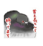 膨らむ鳥たち（個別スタンプ：30）