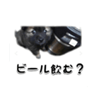 京都会員制ラーメン店 天歩 愉快な仲間たち（個別スタンプ：4）