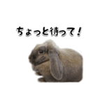 京都会員制ラーメン店 天歩 愉快な仲間たち（個別スタンプ：7）