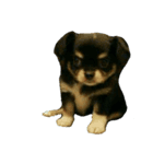 Gogo-dog（個別スタンプ：3）