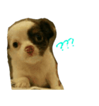Gogo-dog（個別スタンプ：4）